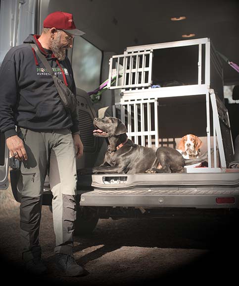 Hundebetreuung Pfotenfreunde