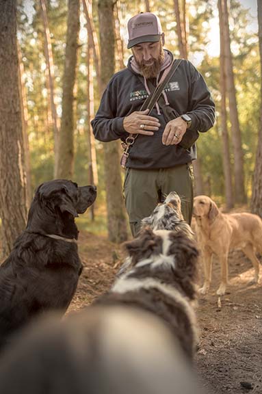 Hundebetreuung Pfotenfreunde