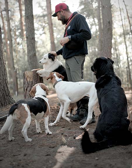 Hundebetreuung Pfotenfreunde