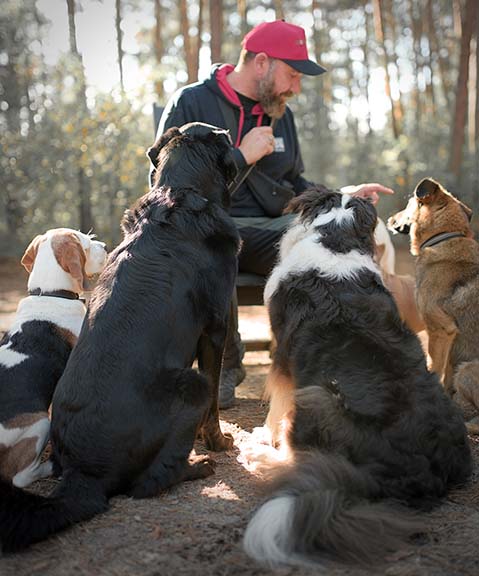 Hundebetreuung Pfotenfreunde