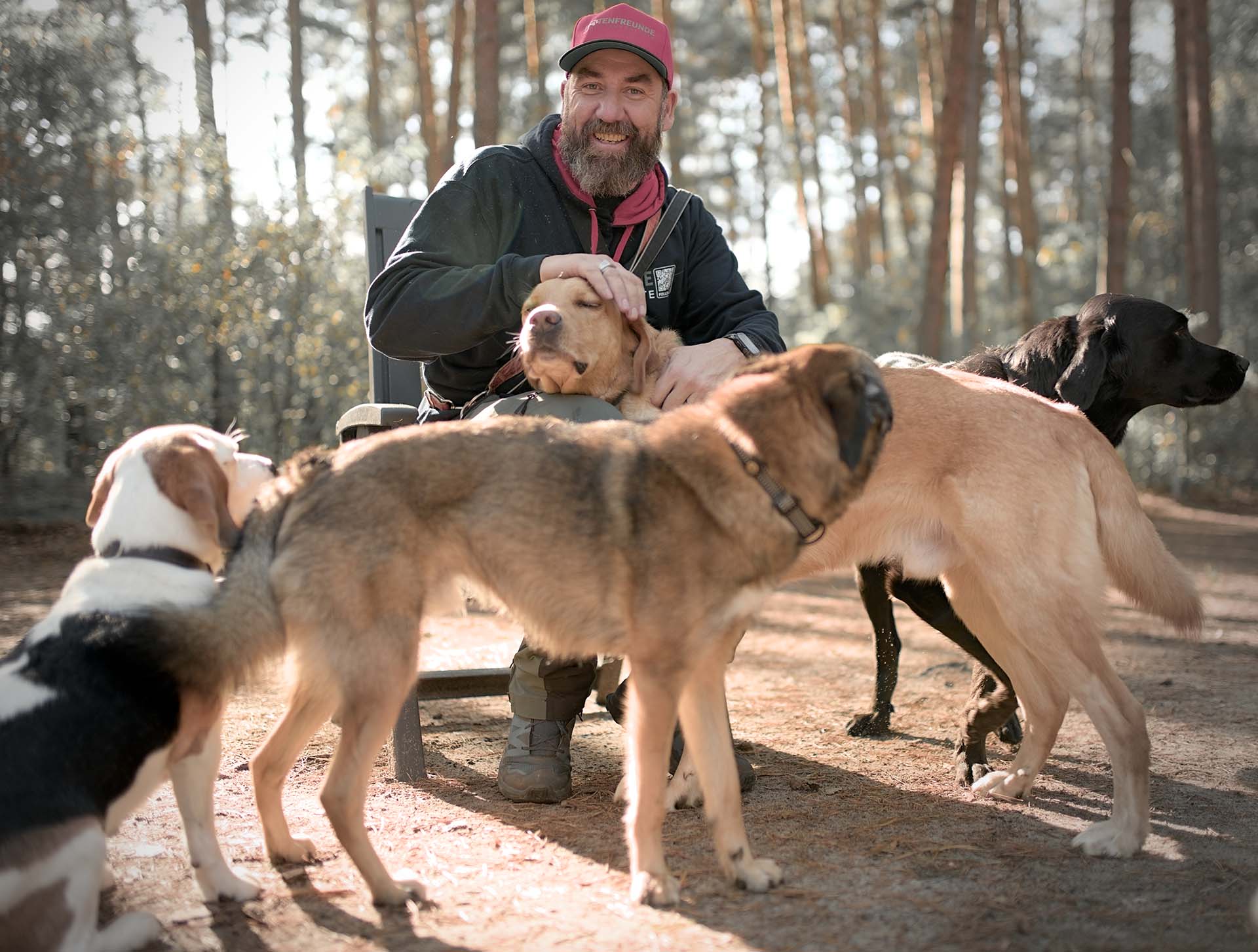 Hundebetreuer Bernd Trätow