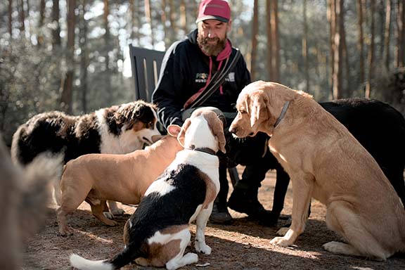 Hundebetreuung Pfotenfreunde