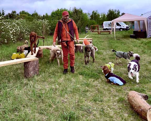 Hundebetreuung Pfotenfreunde