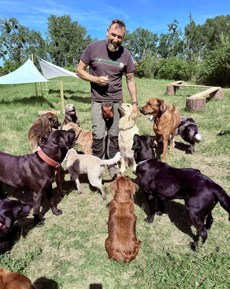 Hundebetreuung Pfotenfreunde