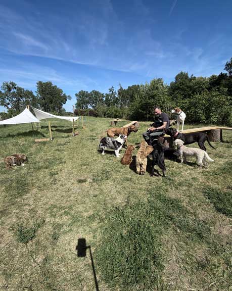 Hundebetreuung Pfotenfreunde