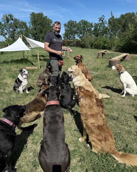 Hundebetreuung Pfotenfreunde