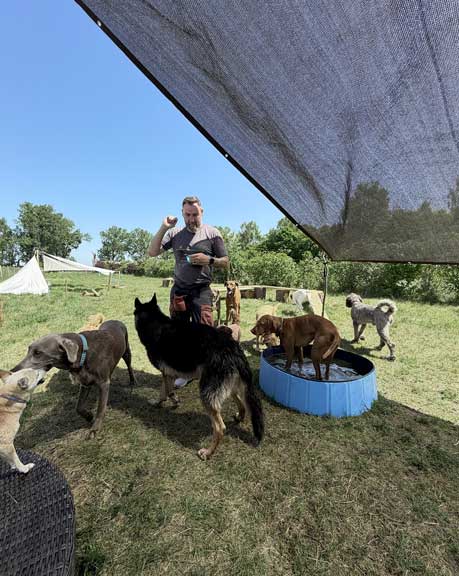 Hundebetreuung Pfotenfreunde