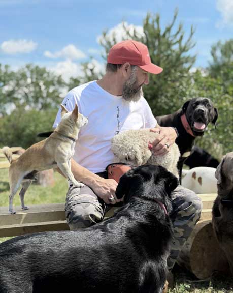 Hundebetreuung Pfotenfreunde